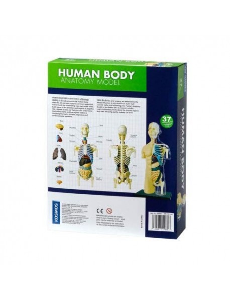 CILVĒKA ĶERMEŅA ANATOMIJAS MODELIS