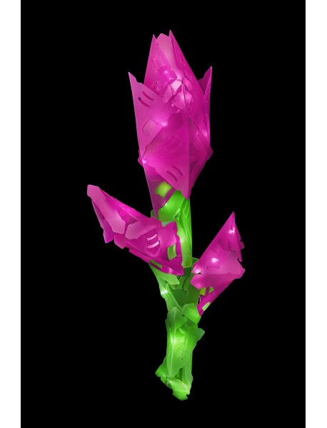 Creato radošais komplekts SIRDS