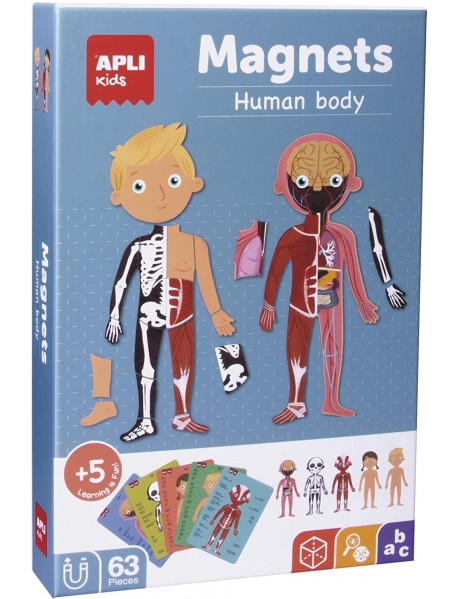 Magnētiskā spēle "Cilvēka ķermenis"