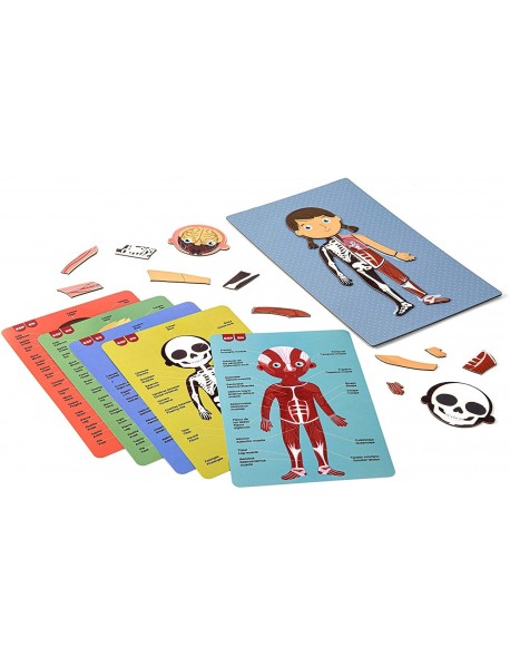 Magnētiskā spēle "Cilvēka ķermenis"