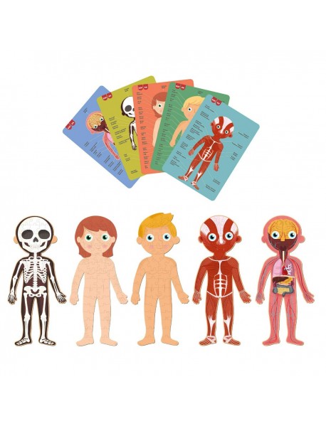 Izglītojoša puzle "Cilvēka ķermenis"